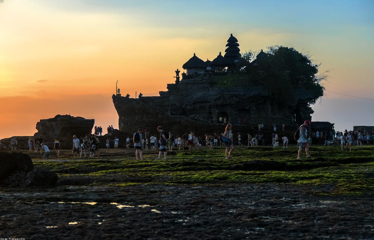Bali private driver tour hero banner