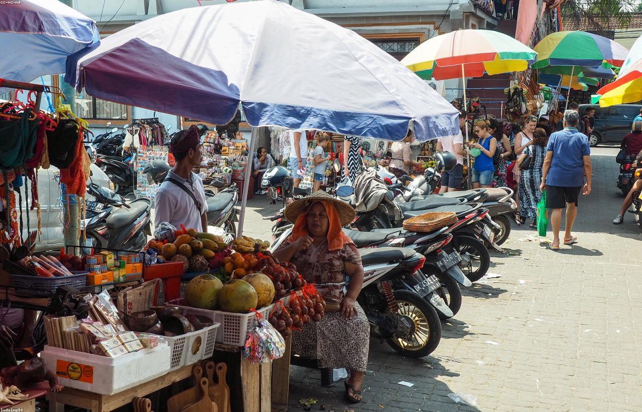 Ubud Half Day Tour Bali tour package